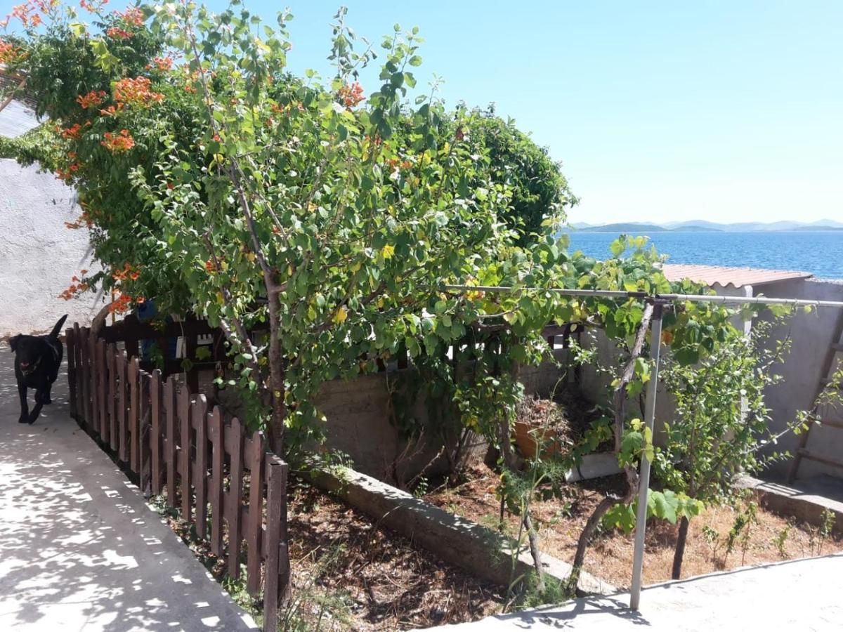 Sea House Anka Villa Banj Ngoại thất bức ảnh