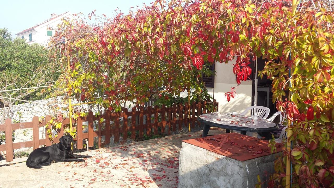 Sea House Anka Villa Banj Ngoại thất bức ảnh