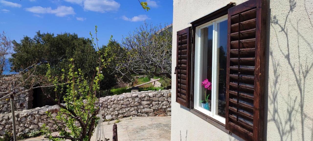 Sea House Anka Villa Banj Ngoại thất bức ảnh