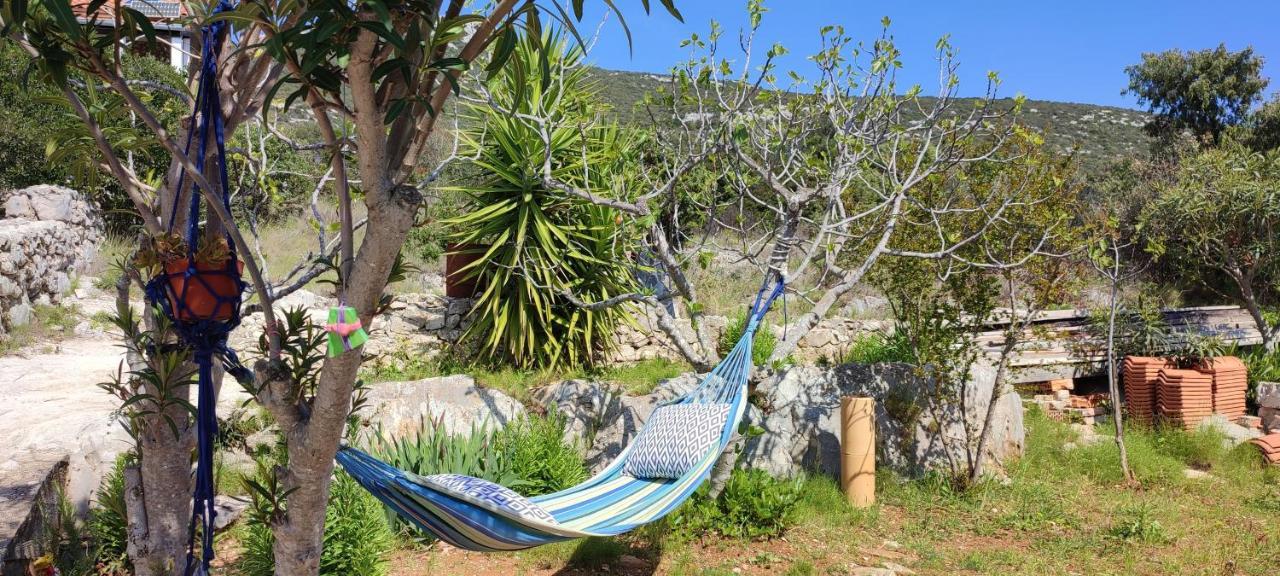 Sea House Anka Villa Banj Ngoại thất bức ảnh