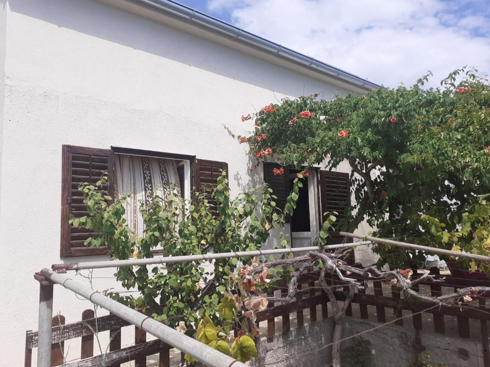 Sea House Anka Villa Banj Ngoại thất bức ảnh