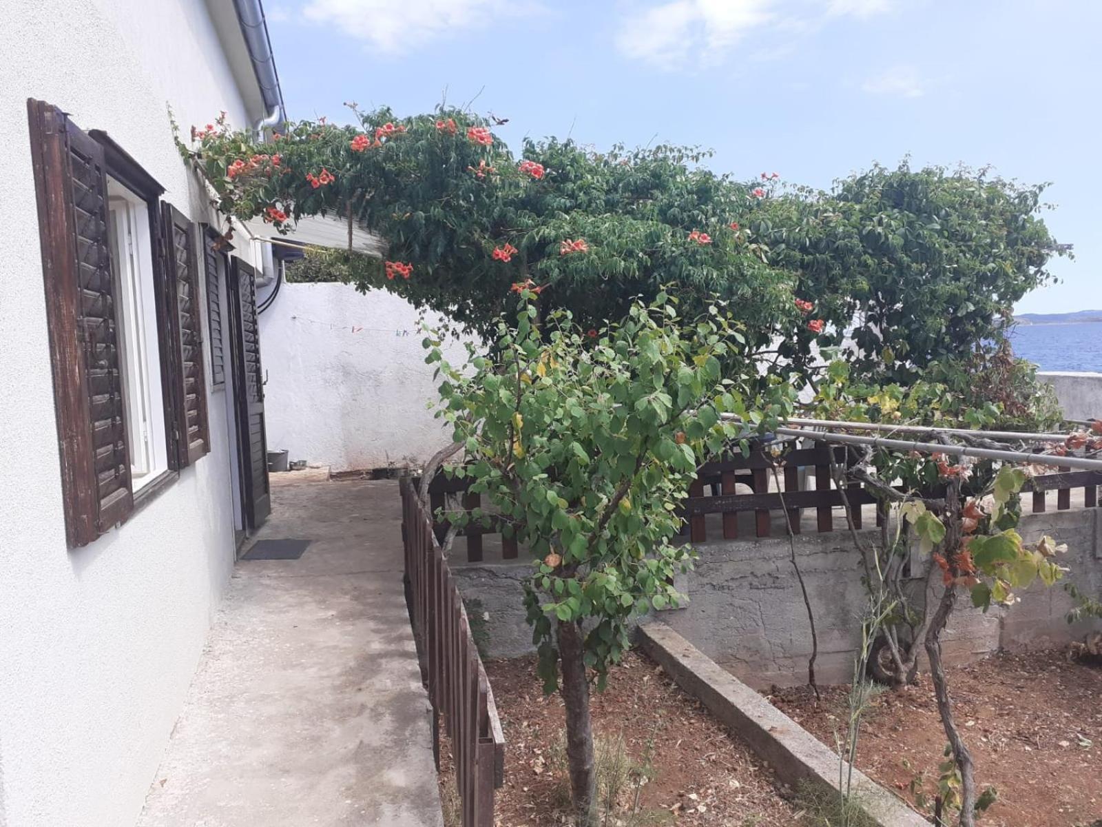 Sea House Anka Villa Banj Ngoại thất bức ảnh